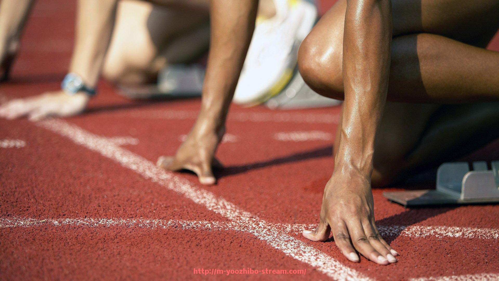 优直播-健身器材外贸公司的详细介绍与使用建议